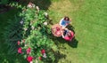 Young couple enjoying food and drinks in beautiful roses garden on romantic date, aerial top view from above of man and woman Royalty Free Stock Photo