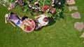 Young couple enjoying food and drinks in beautiful roses garden on romantic date, aerial top view from above of man and woman Royalty Free Stock Photo