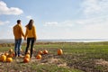 Young couple enjoying sunset in pumpkin patch field Royalty Free Stock Photo