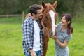 young couple enjoys spending time with horses Royalty Free Stock Photo