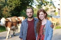 Young couple in front of a herd of cows Royalty Free Stock Photo