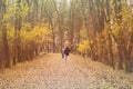 Young couple go for a walk in the autumn park Royalty Free Stock Photo