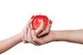 Young couple hands holding apple isolated Royalty Free Stock Photo