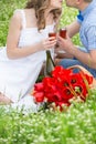 Young couple have picnic with red wine Royalty Free Stock Photo