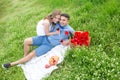 Young couple have picnic with red wine Royalty Free Stock Photo