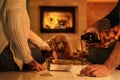 Young couple have romantic dinner with pizza and wine over fireplace background.