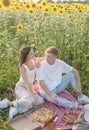 Young couple having picnic on sunflower field Royalty Free Stock Photo