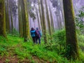 Young couple hiker at pine tree forest with white defused fog background at morning Royalty Free Stock Photo