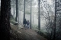 Young couple of hikers coming down forest path on heavy foggy day Royalty Free Stock Photo