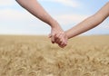 Young couple holding hands in the field Royalty Free Stock Photo