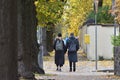 Young couple holding hands while walking on the street