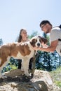 young couple holding St.Bernard dog hiking at the mountains