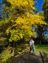 Couple hugging on small wooden bridge in the autumn park near big tree. Royalty Free Stock Photo