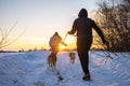 Young Couple With A Husky Dog Walking In Winter Park At Sunset Royalty Free Stock Photo