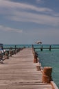 A lovers couple jump into the sea from the wooden pier