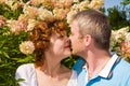 Young couple kisses in a flowers Royalty Free Stock Photo