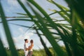Young woman hugging asian man in the middle of a wheat field and kissing each other. Royalty Free Stock Photo