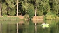 Young couple on a lake on pedaling boat