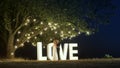 Young couple in love in evening dresses are dancing near love light letters. Royalty Free Stock Photo