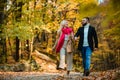 Young couple in love holding hands and walking through a park on a sunny autumn day. Lovers walking hand in hand