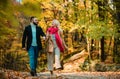 Young couple in love holding hands and walking through a park on a sunny autumn day. Lovers walking hand in hand