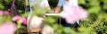 Young couple in love kissing and hugging at park in sunny day Royalty Free Stock Photo