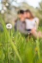 A young couple in love sitting on grass meadow, kissing