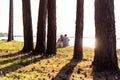 Young couple in love sitting under tree in the Park, enjoying a beautiful summer day at sunset. Royalty Free Stock Photo