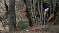 Young Couple In Love Walk Along The Autumn Forest