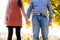 Young couple in love walking in the autumn park holding hands looking in the sunset Royalty Free Stock Photo