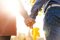 Young couple in love walking in the autumn park holding hands looking in the sunset Royalty Free Stock Photo