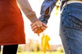 Young couple in love walking in the autumn park holding hands looking in the sunset Royalty Free Stock Photo