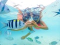 snorkeling trip at Samaesan Thailand dive underwater with fishes in the coral reef sea pool Royalty Free Stock Photo