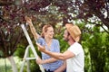 Young couple picking cherries from trees Royalty Free Stock Photo