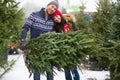 Couple buying Christmas tree Royalty Free Stock Photo