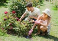 Young couple planting flowers in the garden Royalty Free Stock Photo