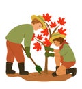 Young couple planting red maple tree. Outdoors gardening concept. Illustration on white background