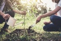 Young couple planting the tree while Watering a tree working in Royalty Free Stock Photo