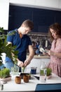 Young couple preparing green wheatgrass juice. Healthy antioxidant smoothie drink.