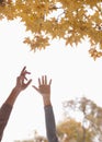 Young couple reaching for gingko leaves outdoors, arms only