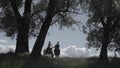 Young couple riding a brown horse at countryside at summer. Young couple in love riding a horse. Young couple riding a