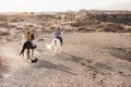 Young couple riding horses doing excursion with dog pets at sunset - Main focus on woman back