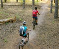 Young Couple Riding the Mountain Bikes in the Pine Forest. Adventure and Family Travel Concept. Royalty Free Stock Photo