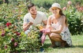 Young couple seedling garden plants Royalty Free Stock Photo