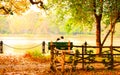 Young Couple sitting in an autumn park bench in Lakeshore. Falling in love in Maple leaf garden. Relaxation and romantic activity Royalty Free Stock Photo