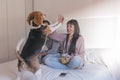 young couple sitting on bed, having fun and playing with their cute beagle dog. Breakfast time. Home, indoors