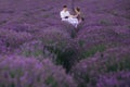 Young couple are sitting on chairs at table and relaxing in lavender field. woman in purple dress and flower`s wreath with man Royalty Free Stock Photo