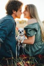 A young couple are sitting on a yellow autumn grass and hugging their white chihuahua breed dog. Royalty Free Stock Photo