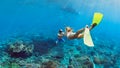 Young couple in snorkeling mask free dive underwater in sea Royalty Free Stock Photo
