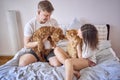 young couple spending time with their animals, a red cat and a cockapoo girl, playing and laughing Royalty Free Stock Photo